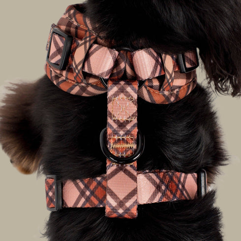 Pablo & Co. KENSINGTON Adjustable Dog Harness