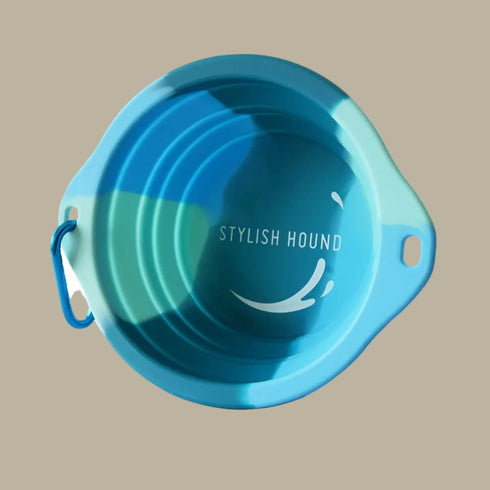 Ocean Collapsible Water Bowl