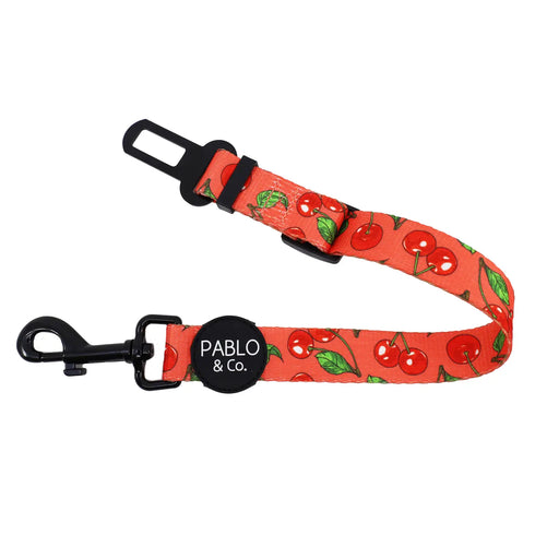 PABLO & CO. CAR RESTRAINT