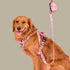 Pablo & Co. PRIMROSE Dog Poop Bag Holder