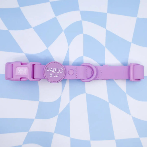 PABLO & CO. WATERPROOF COLLAR