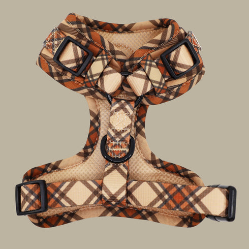 Pablo & Co. KENSINGTON Adjustable Dog Harness