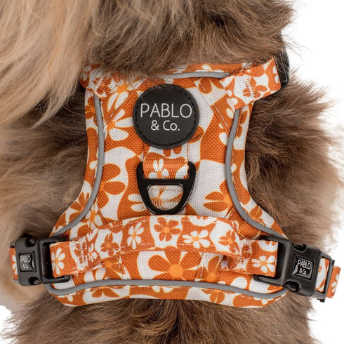 Pablo & Co. RETRO DAZIE No Pull Adventure Dog Harness