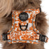 Pablo & Co. RETRO DAZIE No Pull Adventure Dog Harness