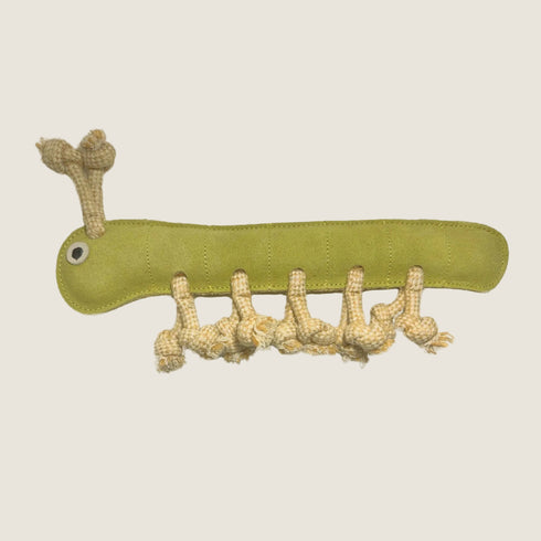 A vibrant green dog toy shaped like a caterpillar, featuring a textured surface and knotted rope-like appendages. The toy has a friendly face with a single eye, designed for interactive play and fetching.