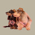 Pablo & Co. HOWDY Adjustable Dog Harness
