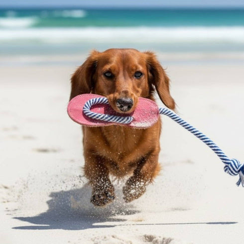 George Paws JANDAL Dog Toy - PINK