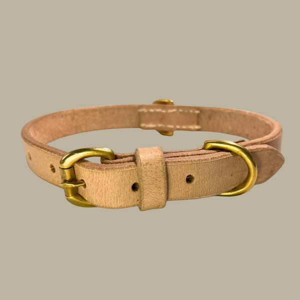 Georgie Paws BALD Dog Collar - RAW