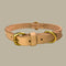 Georgie Paws BALD Dog Collar - RAW