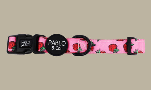 Pablo & Co. STRAWBERRIES Collar