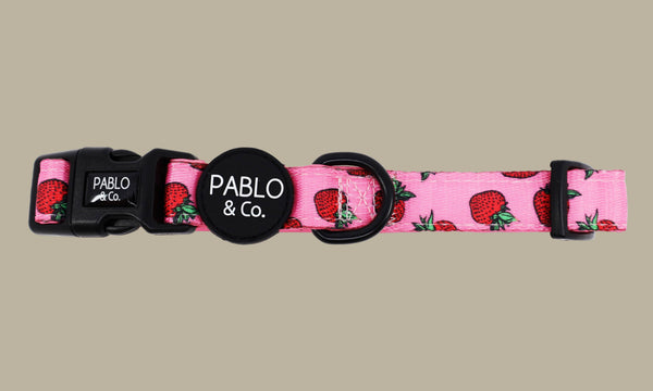 Pablo & Co. STRAWBERRIES Collar