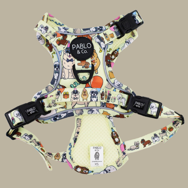 Pablo & Co. PARTY DAWGS No Pull Adventure Dog Harness