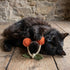 A black cat playfully rolls on a wooden floor while gripping a cherry-shaped toy made of fabric with orange and green accents. The cat appears engaged and curious, showcasing the toys appeal for playful pets.
