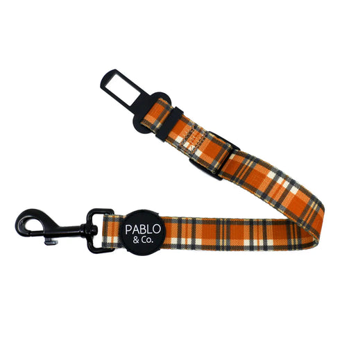 PABLO & CO. CAR RESTRAINT