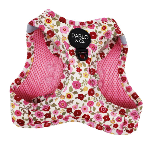 PABLO & CO. CAT STEP IN HARNESS