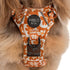 Pablo & Co. RETRO DAZIE No Pull Adventure Dog Harness