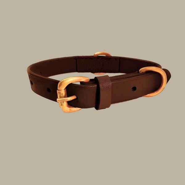 Georgie Paws BALD Collar - CHICORY