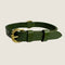 A green leather dog collar with a minimalist design features a brass buckle and an adjustable strap. The collar showcases a classic style, ideal for pet owners seeking a durable and timeless accessory for their dogs.