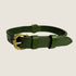 A green leather dog collar with a minimalist design features a brass buckle and an adjustable strap. The collar showcases a classic style, ideal for pet owners seeking a durable and timeless accessory for their dogs.
