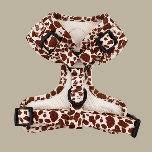 Pablo & Co. RODEO Adjustable Dog Harness