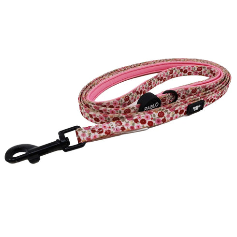 PABLO & CO. CAT LEAD