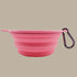 Pablo & Co. Collapsible Dog Water Bowl
