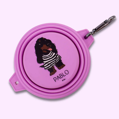 PABLO & CO. COLLAPSIBLE DOG WATER BOWL