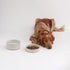 ANIMALS IN CHARGE DOG WATER BOWL WHITE SCALLOPED STONEWARE