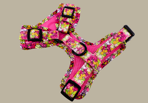 Pablo & Co. IN BLOOM Adjustable Dog Harness