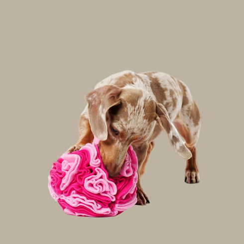 The Pet Enrichment Co. Snuffle Ball - Pink