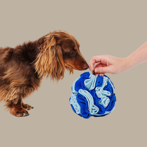 The Pet Enrichment Co. Snuffle Ball - Blue