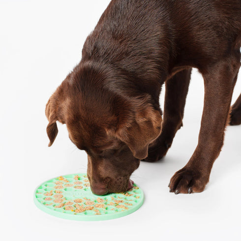 The Pet Enrichment Co. Lick Mat - Green
