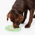 The Pet Enrichment Co. Lick Mat - Green