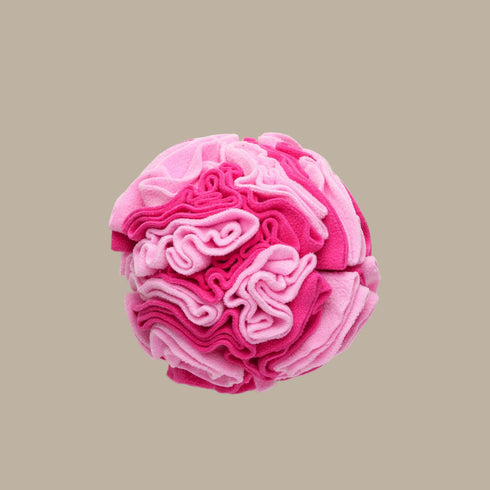The Pet Enrichment Co. Snuffle Ball - Pink