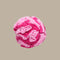 The Pet Enrichment Co. Snuffle Ball - Pink