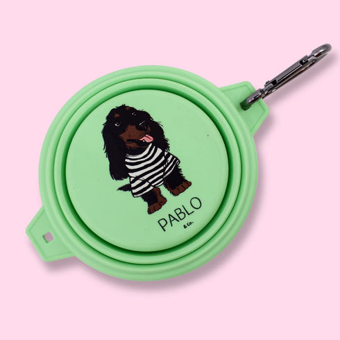 PABLO & CO. COLLAPSIBLE DOG WATER BOWL