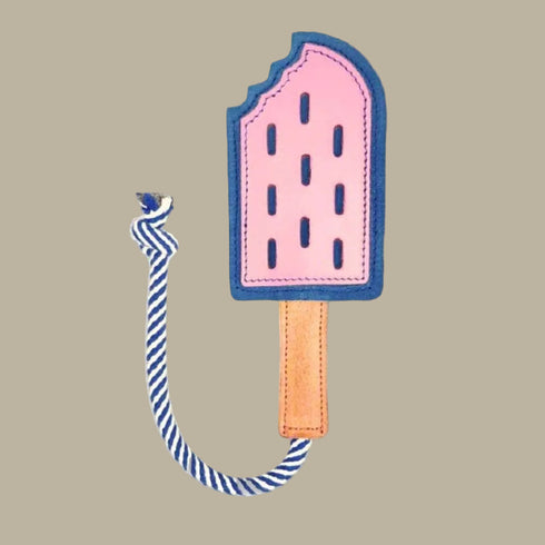 Georgie Paws ICY POLE Dog Toy - NAVY