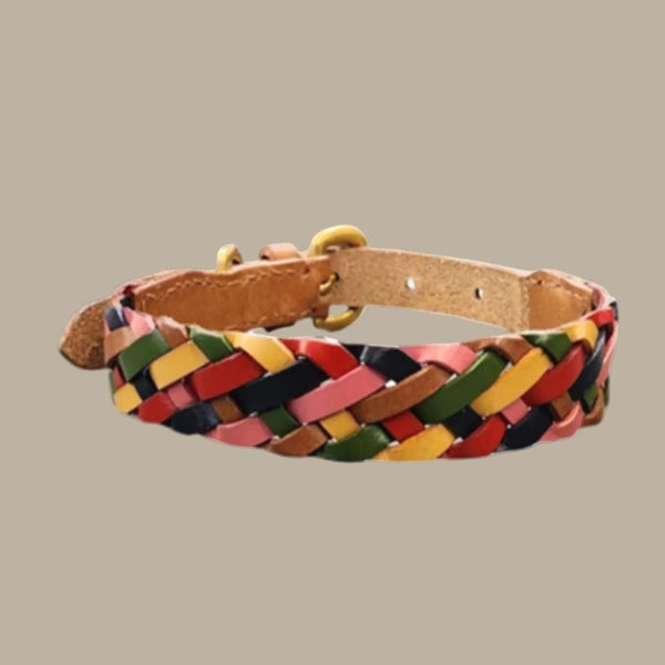 Georgie Paws CREDENCE Dog Collar