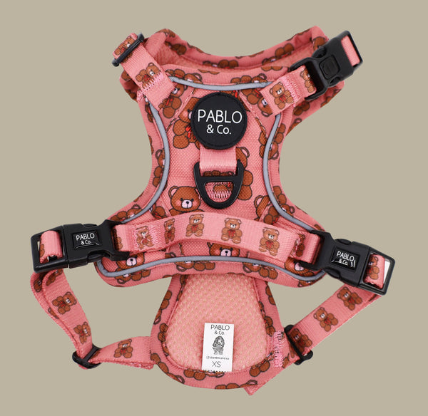 Pablo & Co. TEDDIES No Pull Adventure Dog Harness