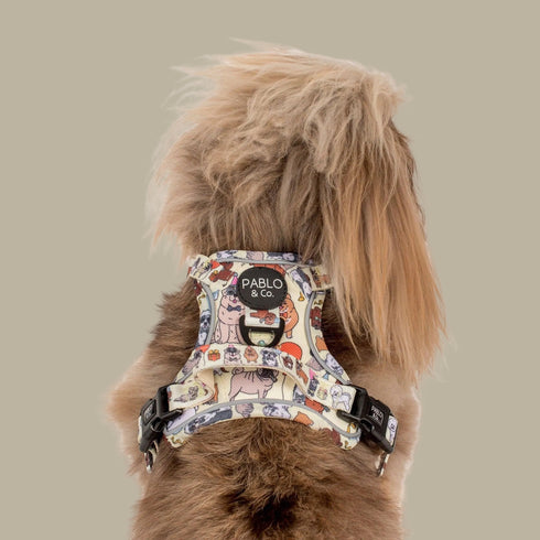 Pablo & Co. PARTY DAWGS No Pull Adventure Dog Harness