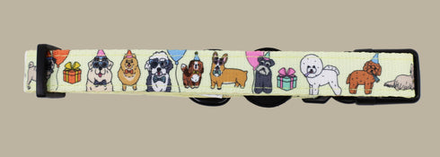 Pablo & Co. PARTY DAWGS Dog Collar