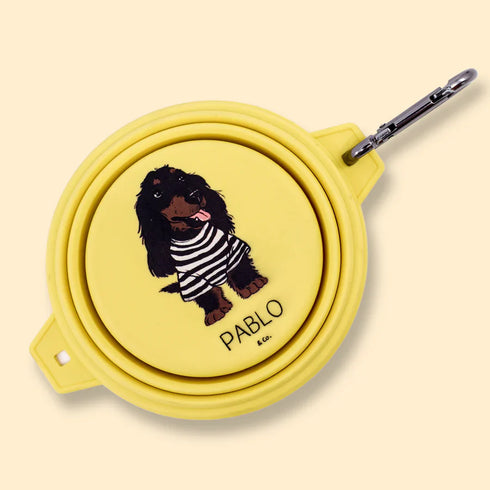 PABLO & CO. COLLAPSIBLE DOG WATER BOWL
