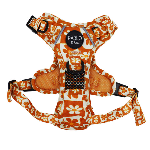 Pablo & Co. RETRO DAZIE No Pull Adventure Dog Harness