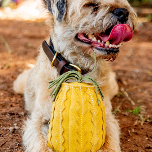 GEORGIE PAWS PENNY PINEAPPLE DOG TOY
