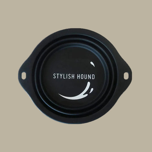 Black Collapsible Water Bowl
