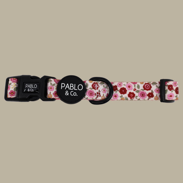 Pablo & Co. PRIMROSE Dog Collar