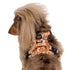 Pablo & Co. RETRO DAZIE No Pull Adventure Dog Harness