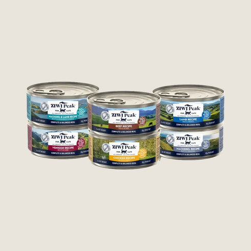 A variety pack of ZIWI Peak wet cat food featuring six 85g cans, each labeled with distinct flavors including mackerel, lamb, venison, and chicken. The cans are neatly arranged in two rows, showcasing vibrant packaging designs.