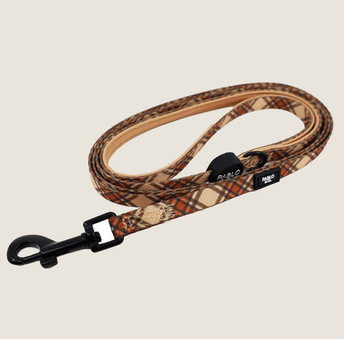 Kensington: Cat Leash