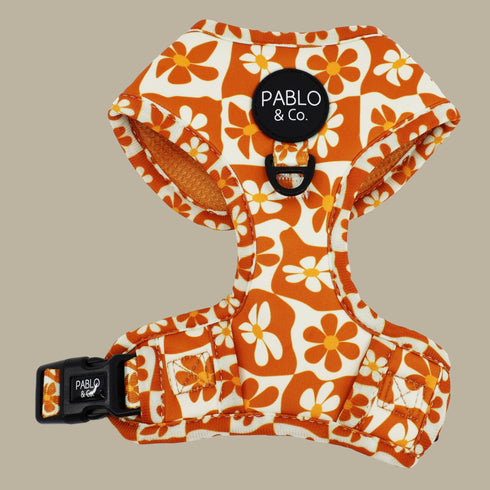 Pablo & Co. RETRO DAZIE Adjustable Dog Harness